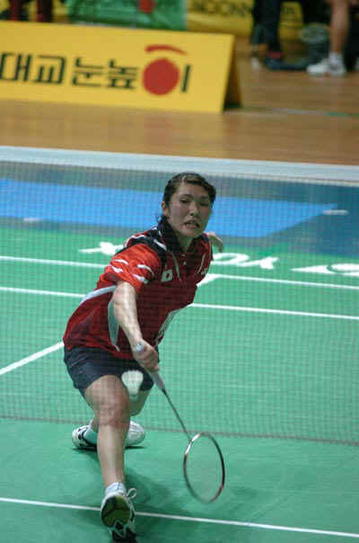 2005年韩国羽毛球公开赛